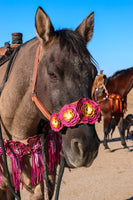 Floral Bronc Halter